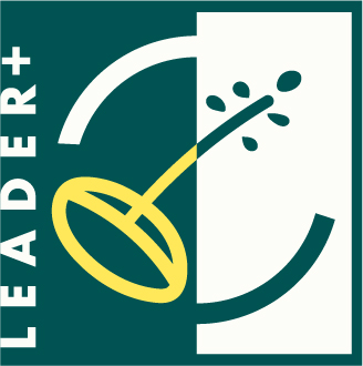 Leader Logo Rgb Druck